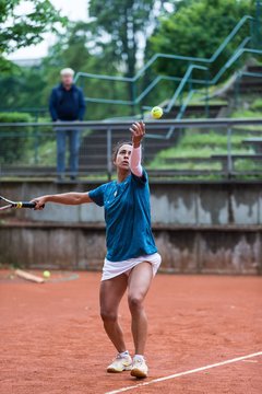 Bild 560 - BL Club an der Alster - THC von Horn und Hamm : Ergebnis: 9:0